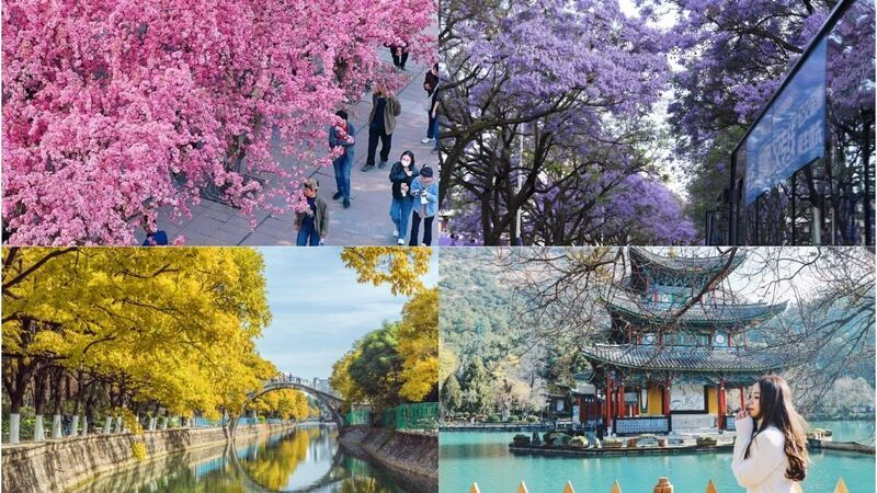 Thời điểm lý tưởng để du lịch Côn Minh