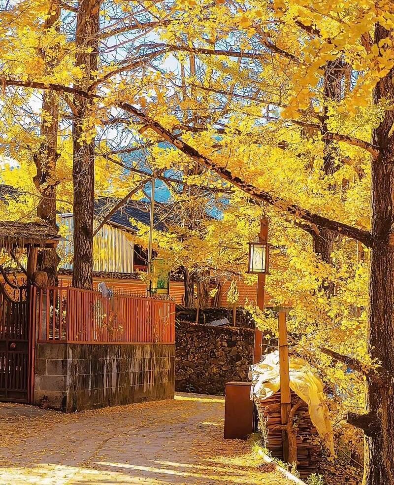 Thưởng ngoạn thiên nhiên độc đáo