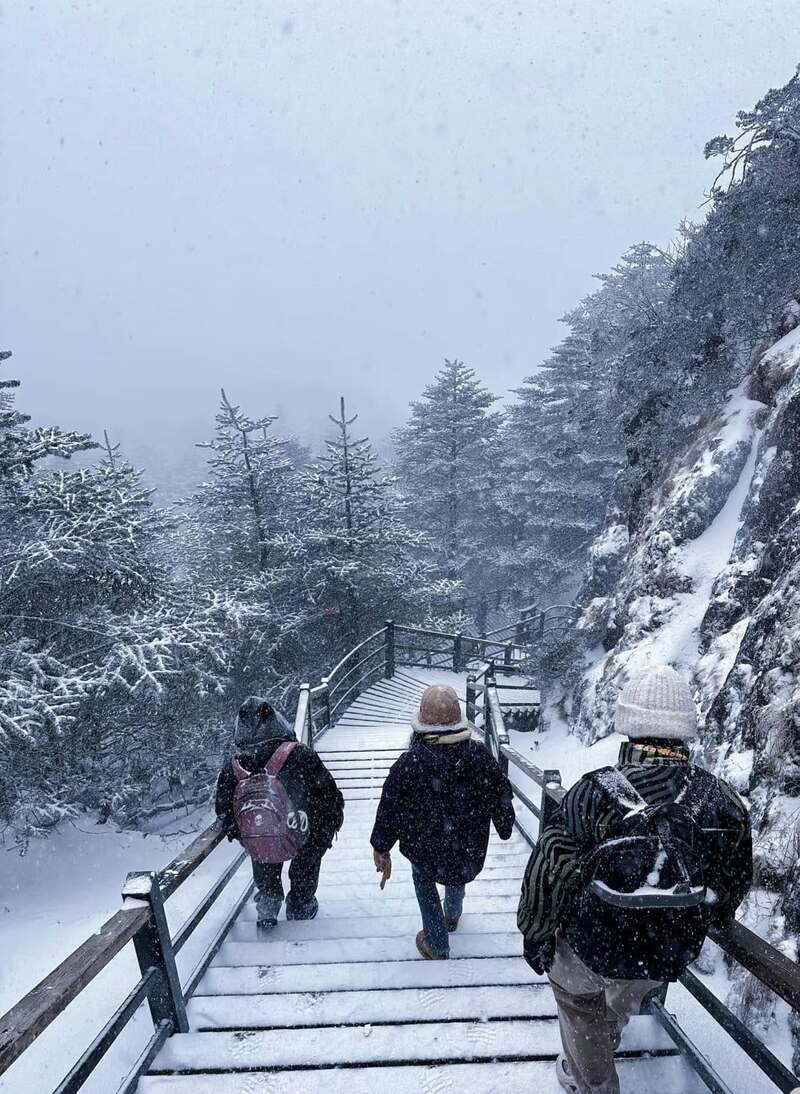 Thảm thực vật phong phú