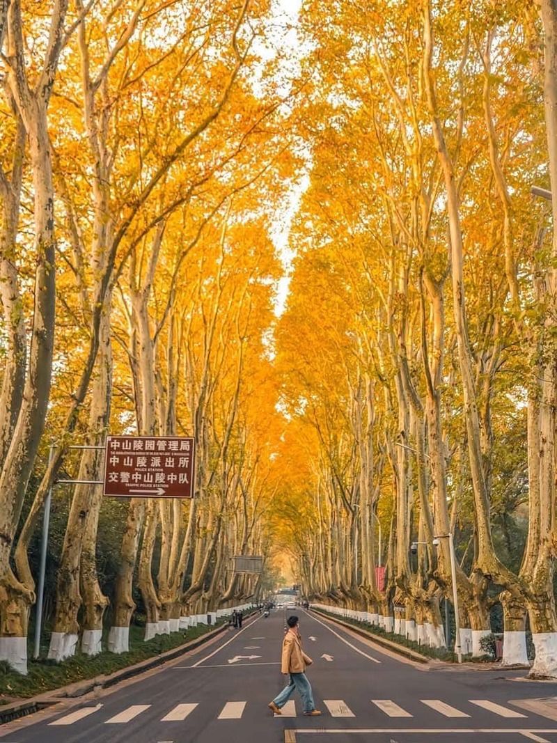 Đi du lịch Nam Kinh mùa nào đẹp?