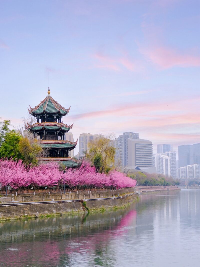 Mùa xuân (tháng 3–5) – Thời điểm lý tưởng để du lịch