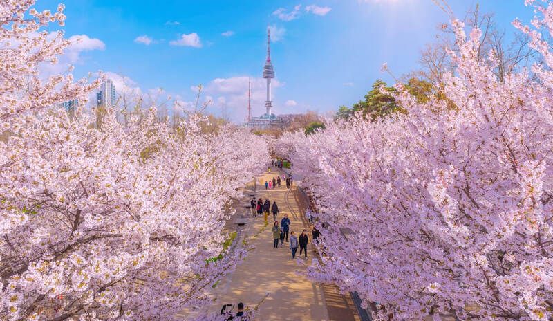 Du lịch Tháp Namsan vào thời điểm nào đẹp nhất?