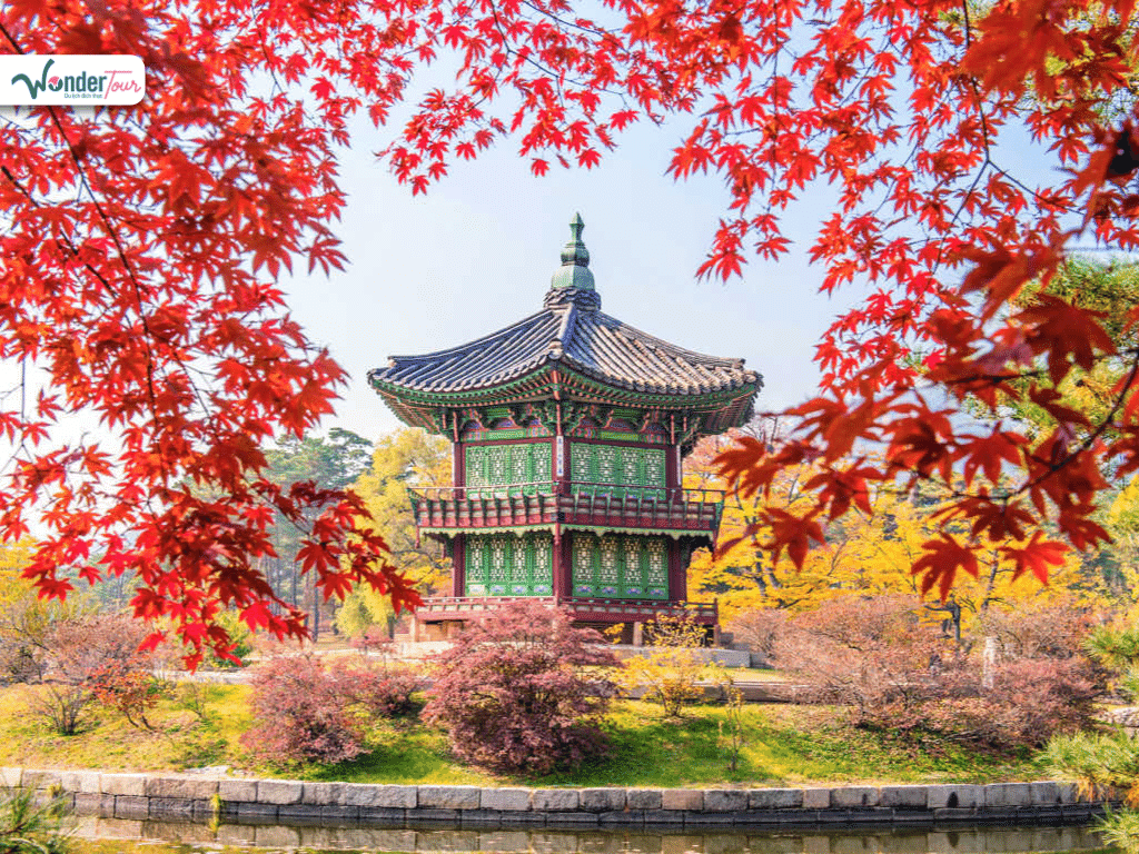 Hàn Quốc mùa thu 