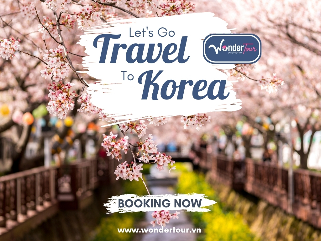 Khám phá mùa hoa anh đào Hàn Quốc đơn giản, tiện lợi cùng Wonder Tour 